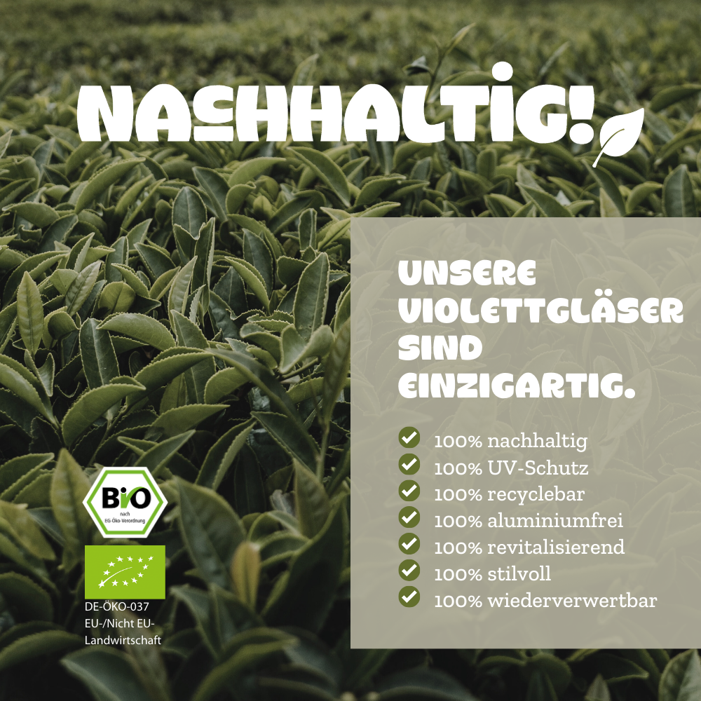 Tutti Fruitea Dream - Früchtetee mit Waldfrüchten - 50g - Bio