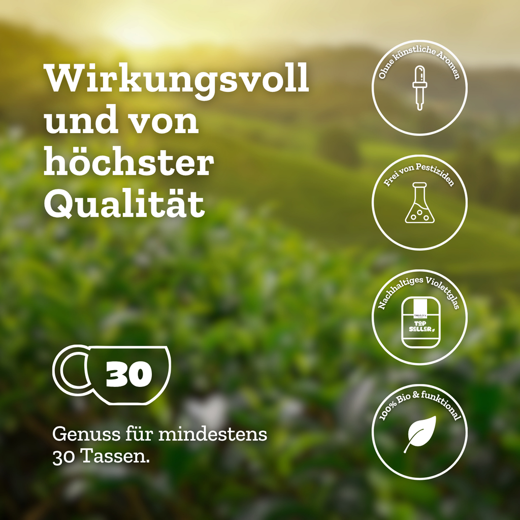 Body Defence - Grünteemischung mit Moringa & Kurkuma - 50g - Bio