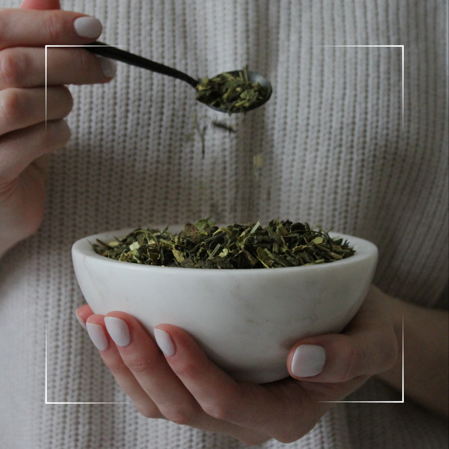 Body Defence - Grünteemischung mit Moringa & Kurkuma - 50g - Bio