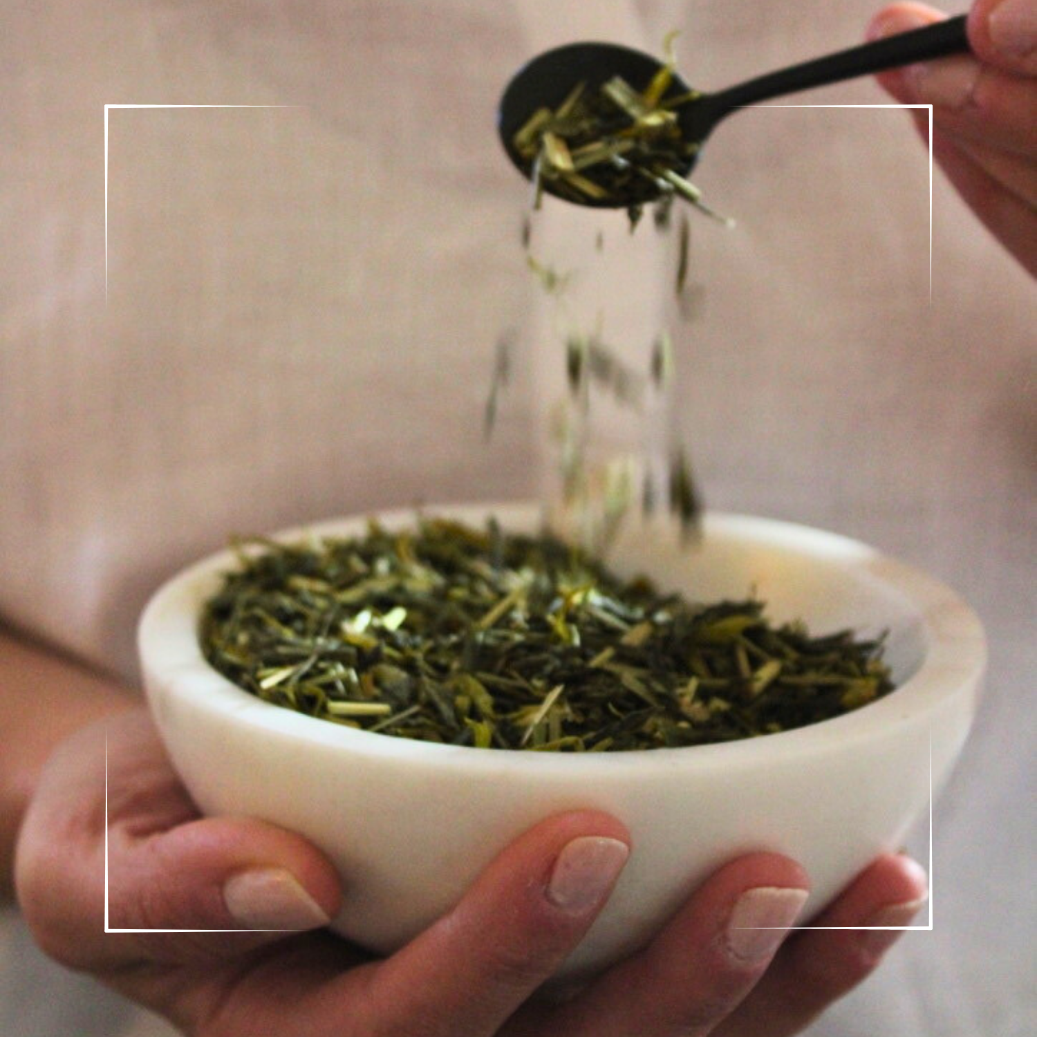 Natural Matcha High - Grünteemischung mit Matcha & Zitronengras - 45g - Bio